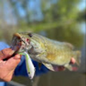 Meet your Posher, Hunter